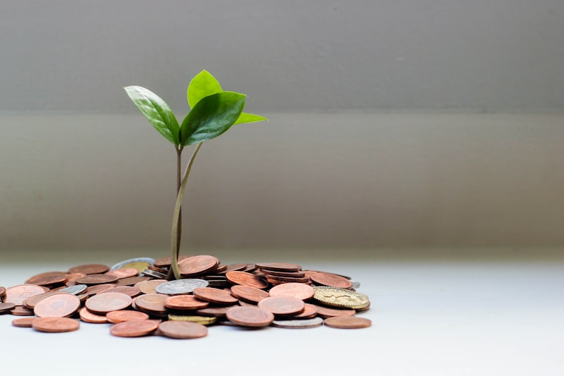 Educação financeira: evite armadilhas do crédito consignado